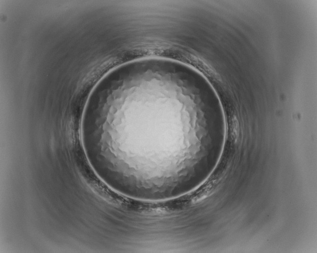 X0000080110594200612081229