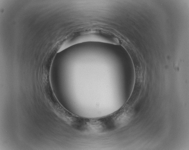 X0000080110603200612081229