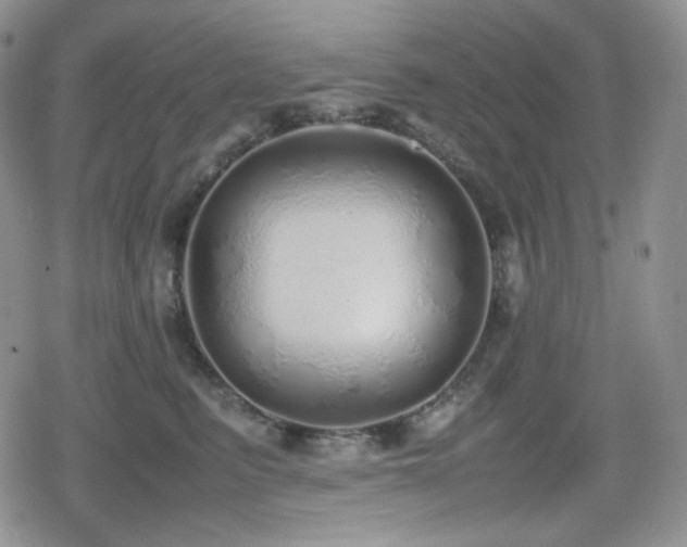 X0000080110615200612081229