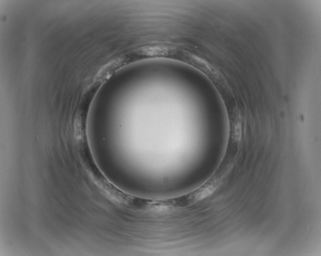 X0000080110620200612081228