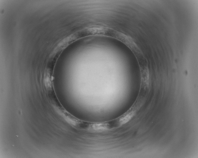 X0000080110622200612081228
