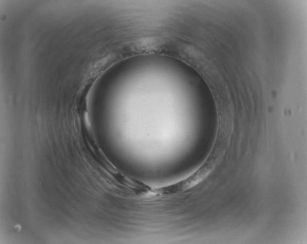 X0000080110624200612081228