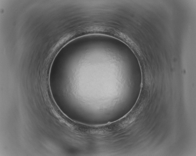X0000080110625200612081228