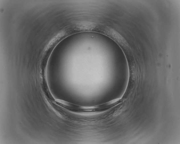 X0000080110634200612081228