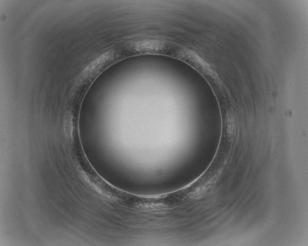 X0000080110637200612081228