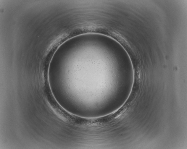 X0000080110638200612081228