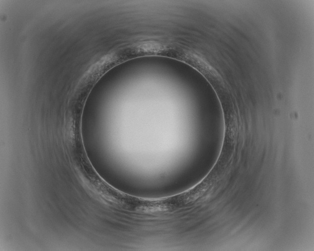 X0000080110639200612081228
