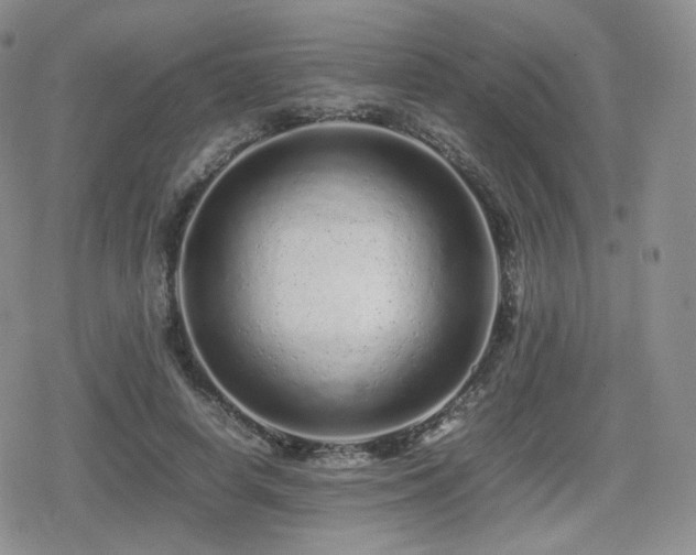 X0000080110642200612081228
