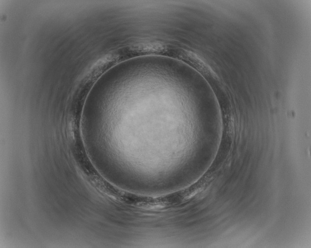X0000080110643200612081228