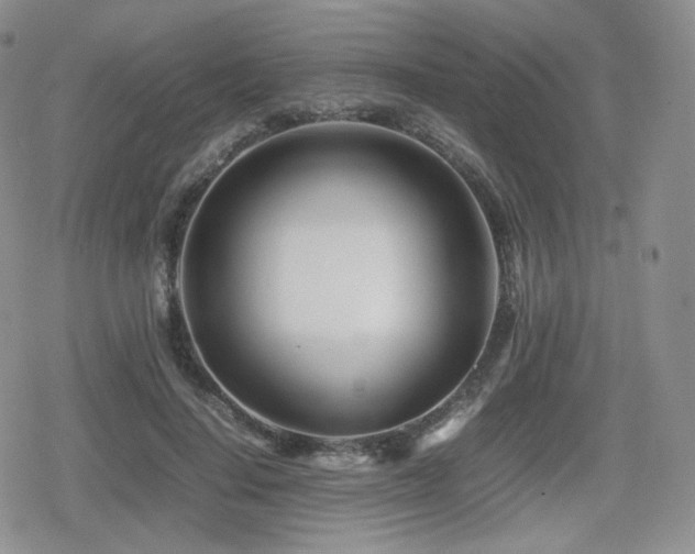 X0000080110644200612081228