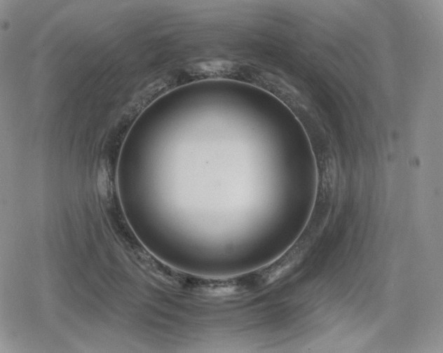 X0000080110651200612081228