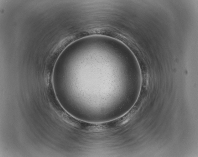 X0000080110652200612081228
