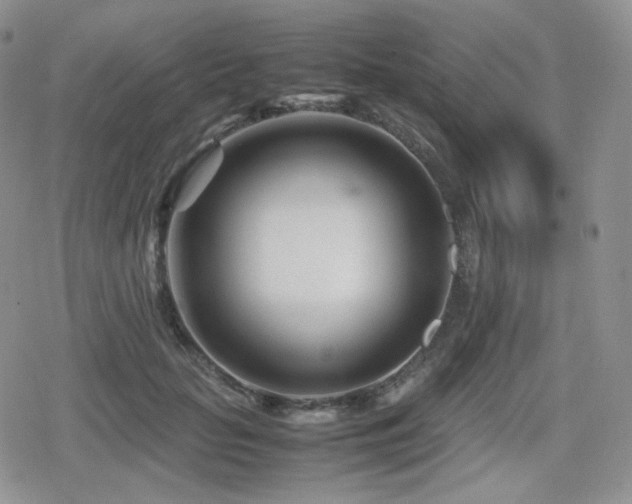 X0000080110653200612081228