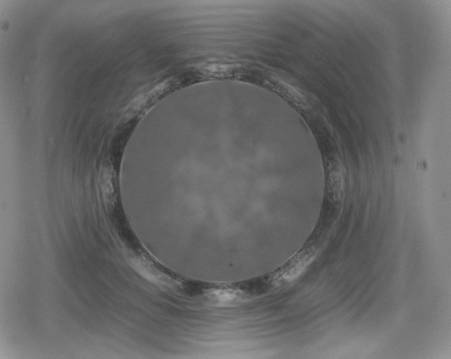 X0000080110654200612081228