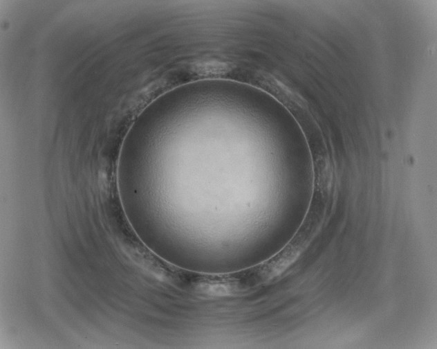 X0000080110655200612081228