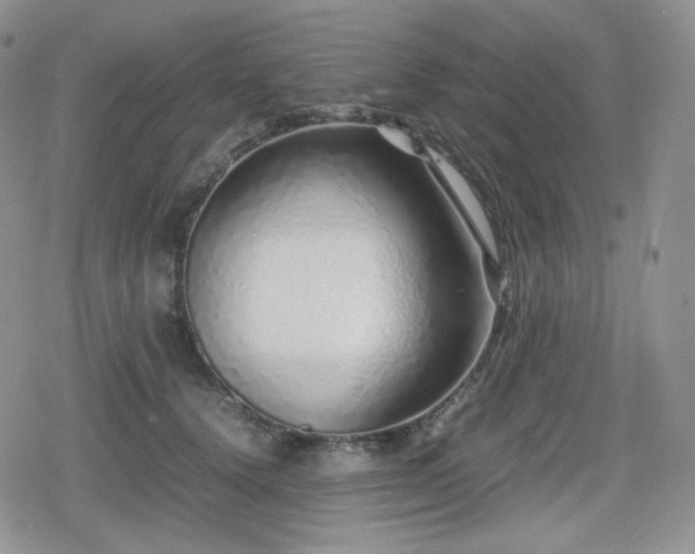 X0000080110656200612081228