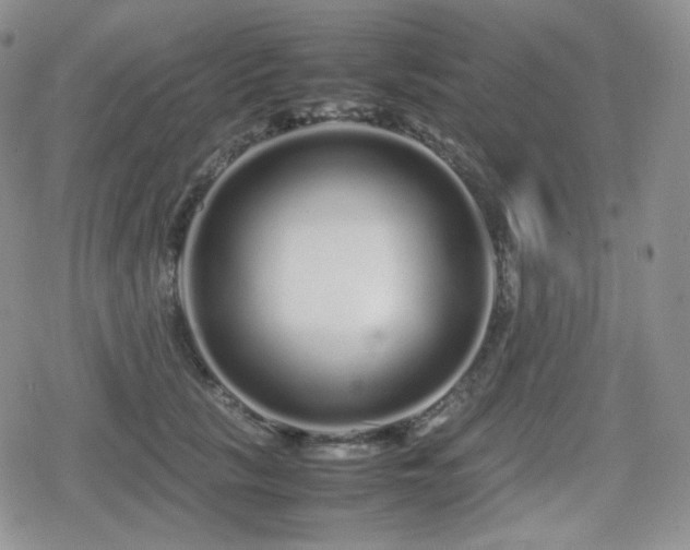 X0000080110657200612081228