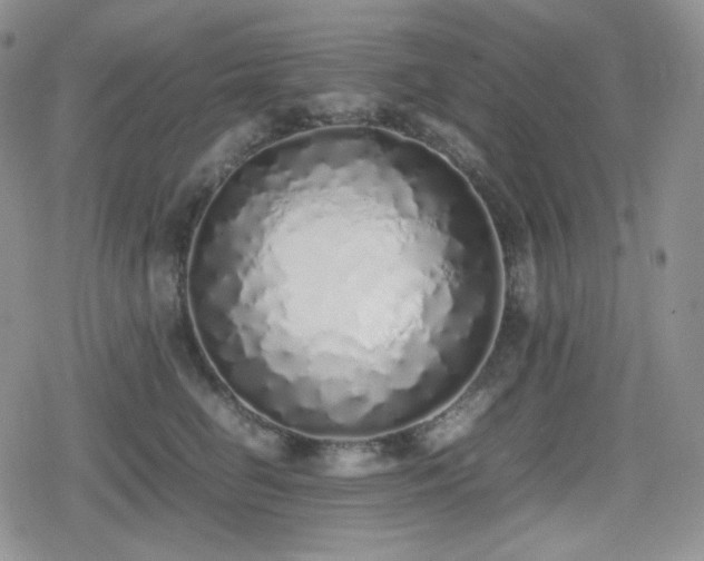 X0000080110662200612081228