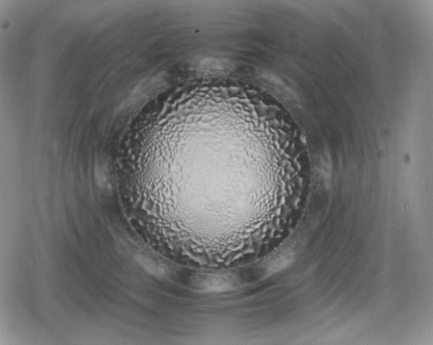 X0000080110663200612081228