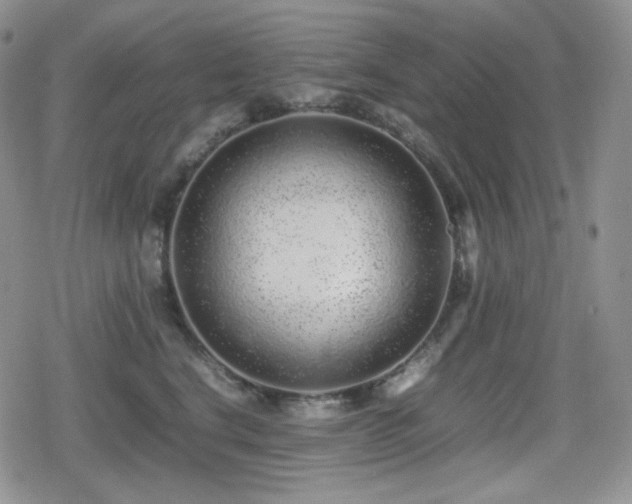 X0000080110664200612081228