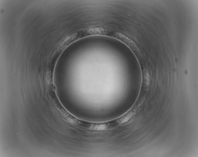 X0000080110665200612081228