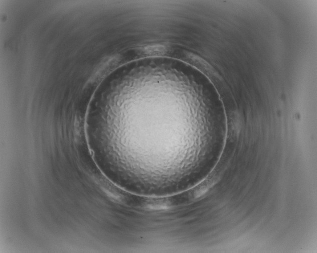 X0000080110667200612081228
