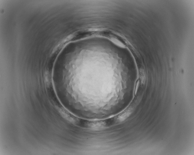 X0000080110670200612081228