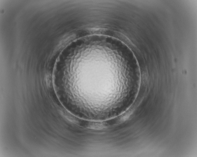 X0000080110671200612081228