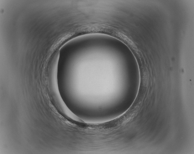 X0000080110673200612081228