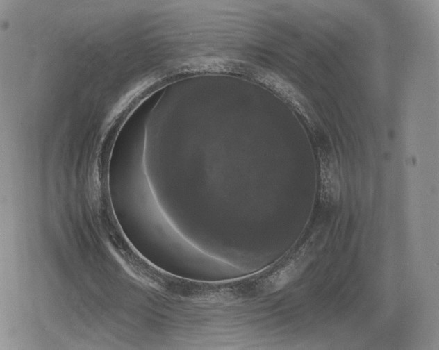 X0000080110674200612081228