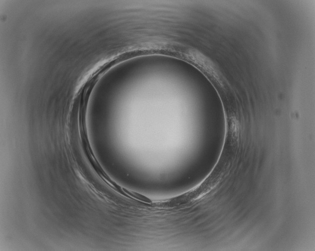 X0000080110676200612081228