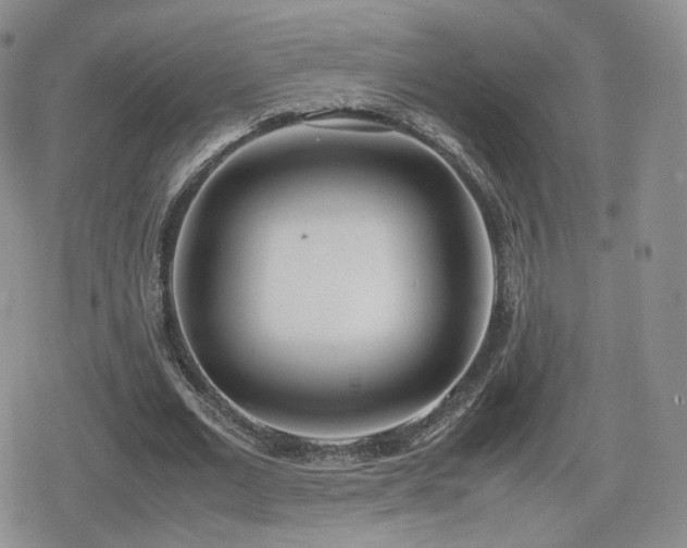 X0000080110677200612081228