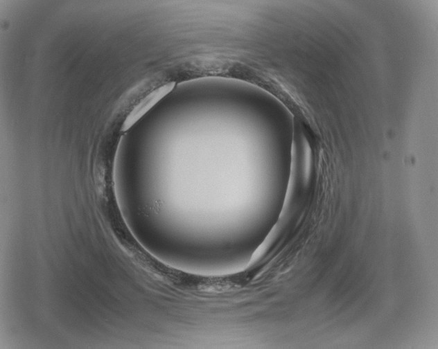 X0000080110693200612081227