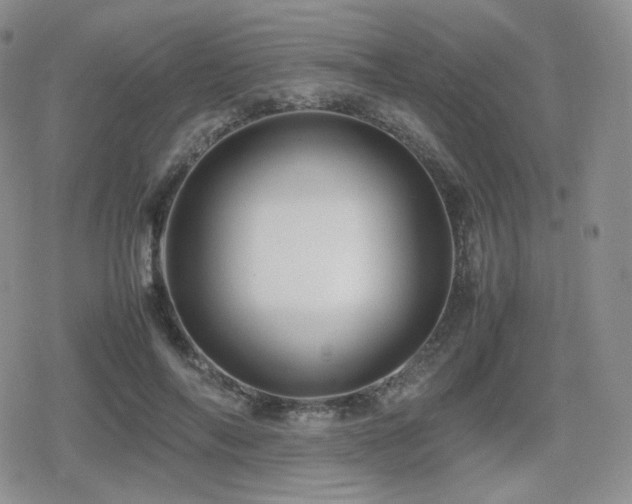 X0000080110694200612081227