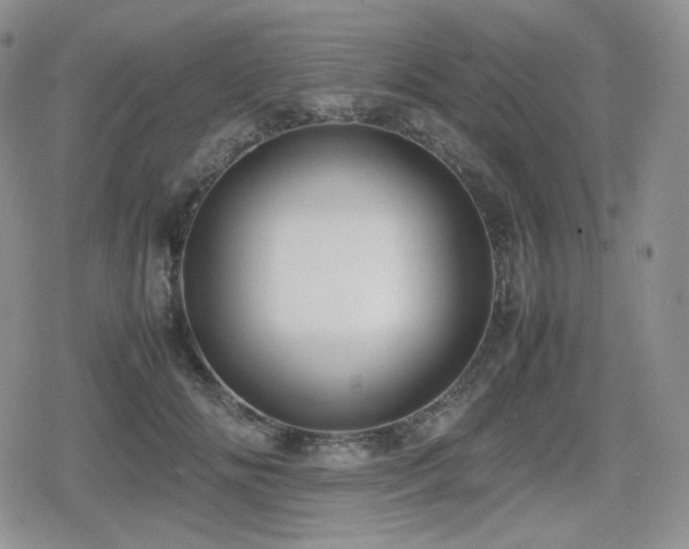 X0000080110702200612081227
