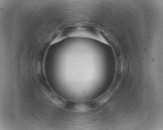 X0000080110704200612081227