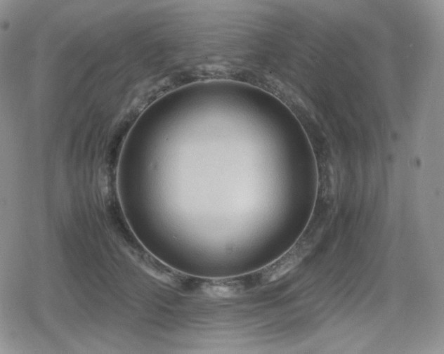 X0000080110706200612081227