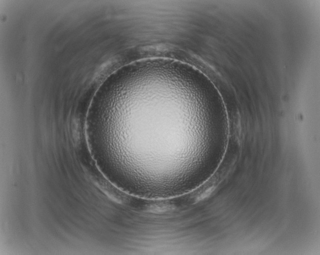 X0000080110708200612081227