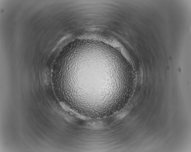 X0000080110712200612081227