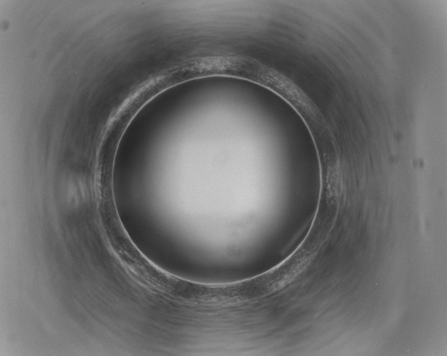 X0000080110722200612081226