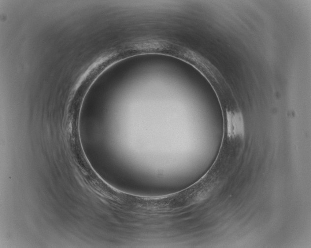 X0000080110723200612081226