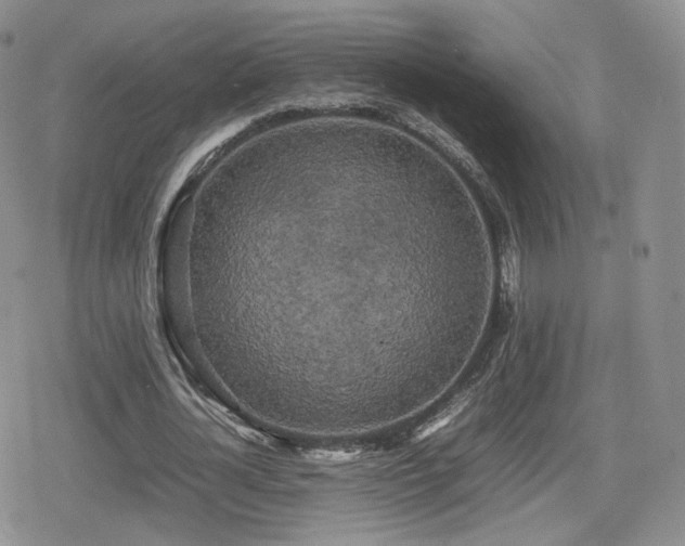 X0000080110724200612081226