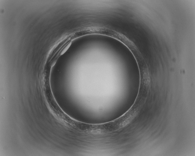 X0000080110730200612081226