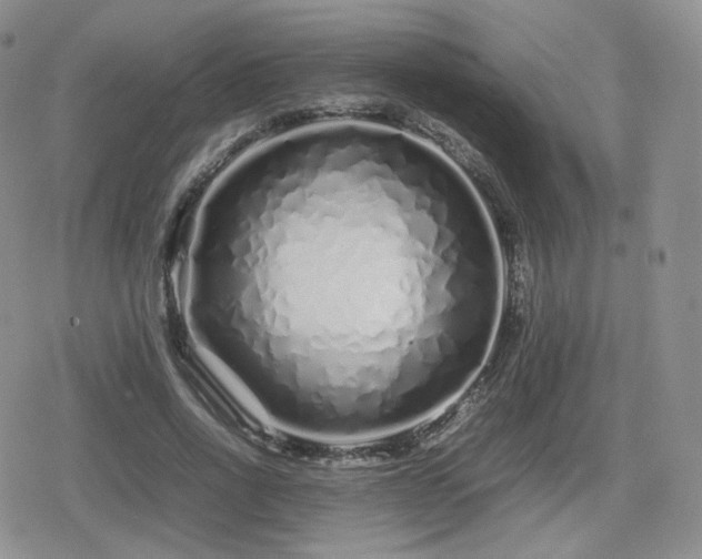 X0000080110734200612081226