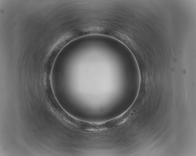 X0000080110735200612081226
