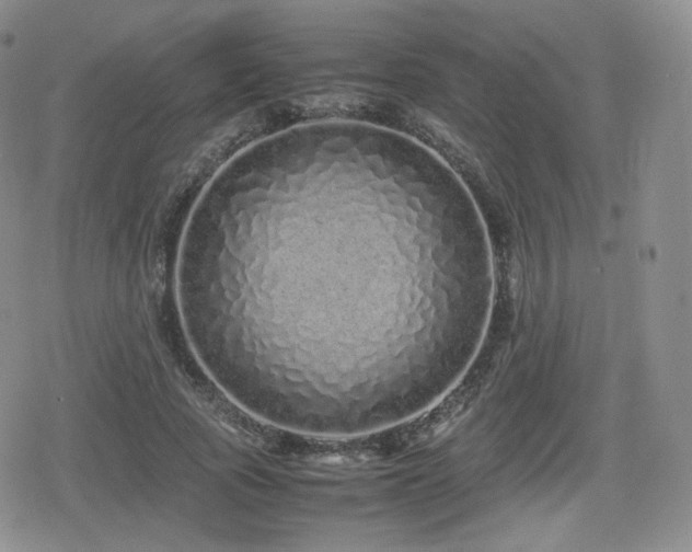 X0000080110737200612081226