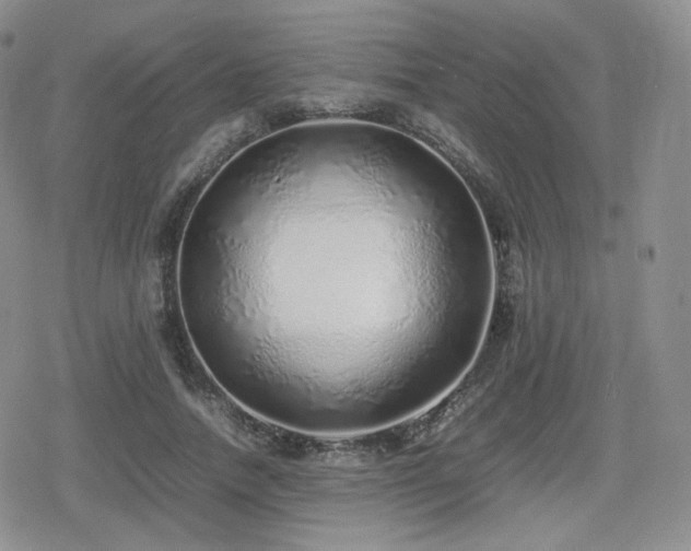 X0000080110738200612081226