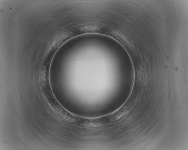 X0000080110739200612081226