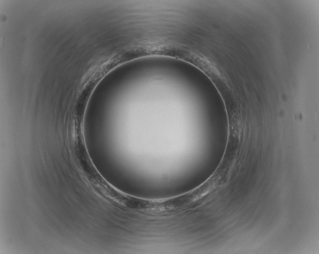 X0000080110740200612081226