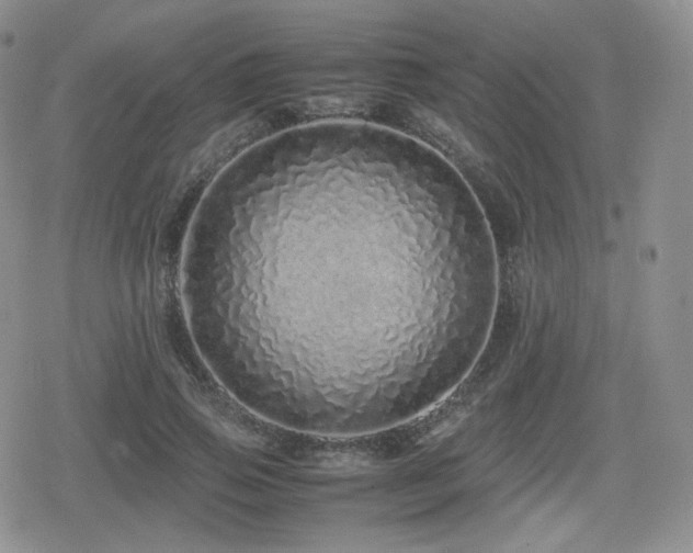 X0000080110741200612081226